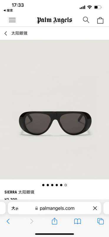 Picture of Palm Angels Sunglasses _SKUfw51977444fw